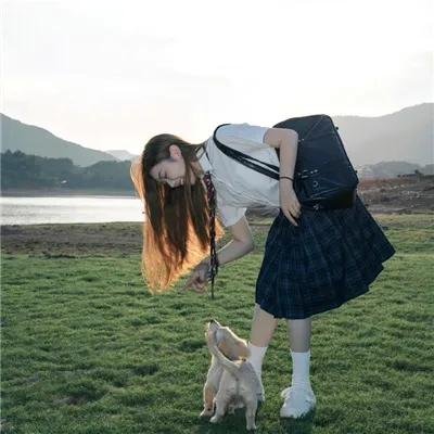 风流总统